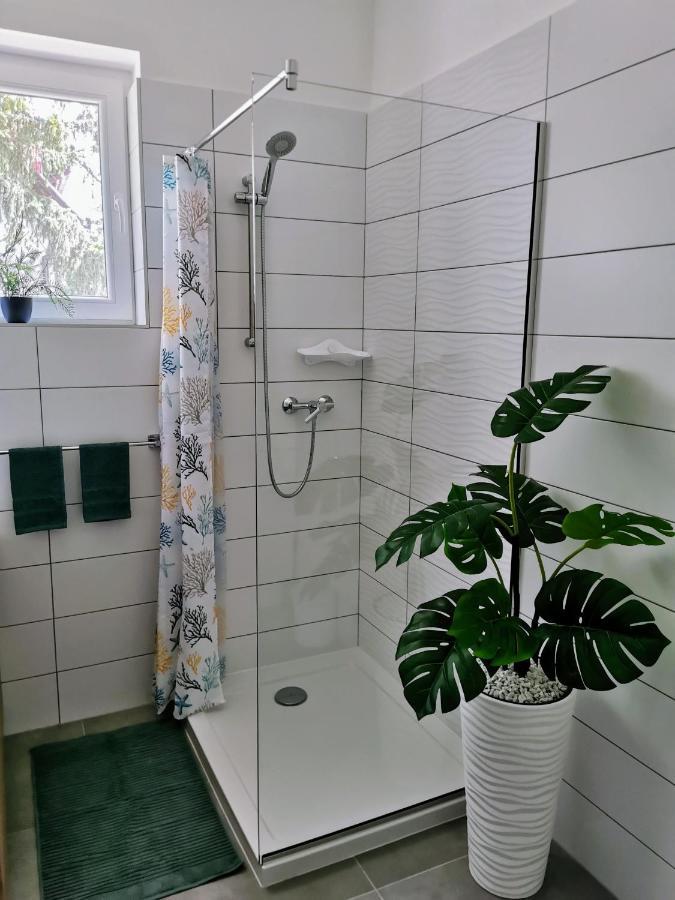 Life Apartment