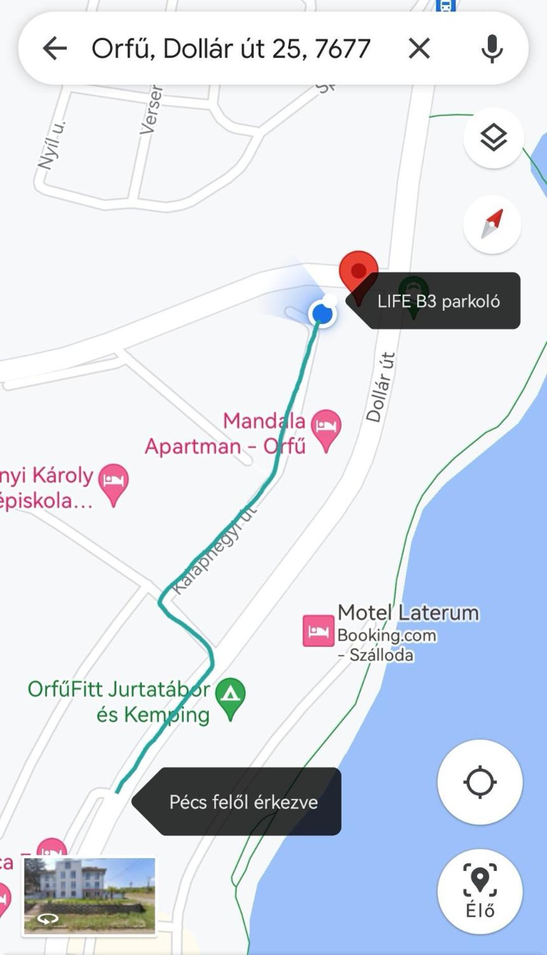 Life * Орфів